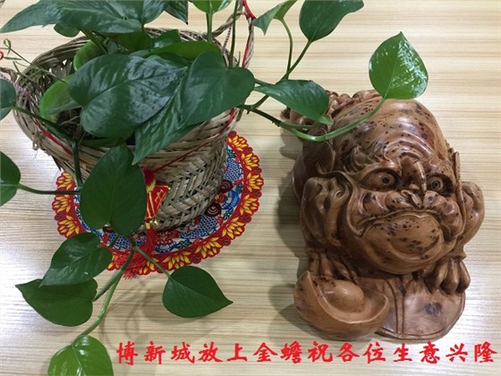 財源滾滾